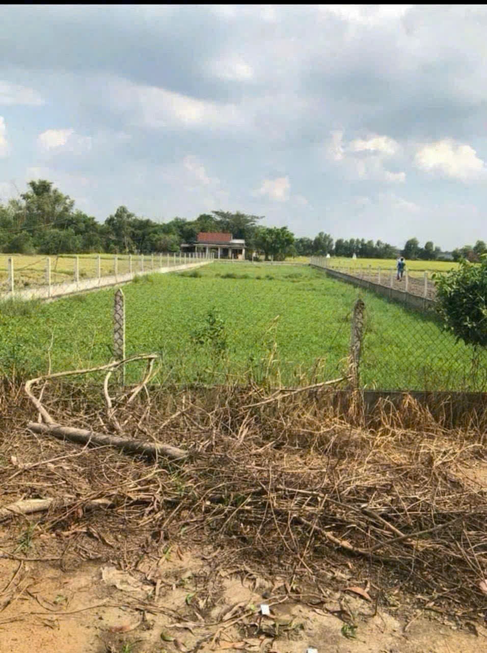 Đất mặt tiền đường xe tải 15x76m tại Hòa Khánh Nam, Đức Hòa, Long An - Giá chỉ 3 tỷ!