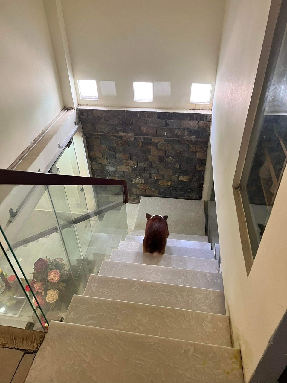 Nhà phố Bạch Vân Quận 5 54m² giá 24 tỷ - Vị trí đắc địa, đầu tư sinh lời!