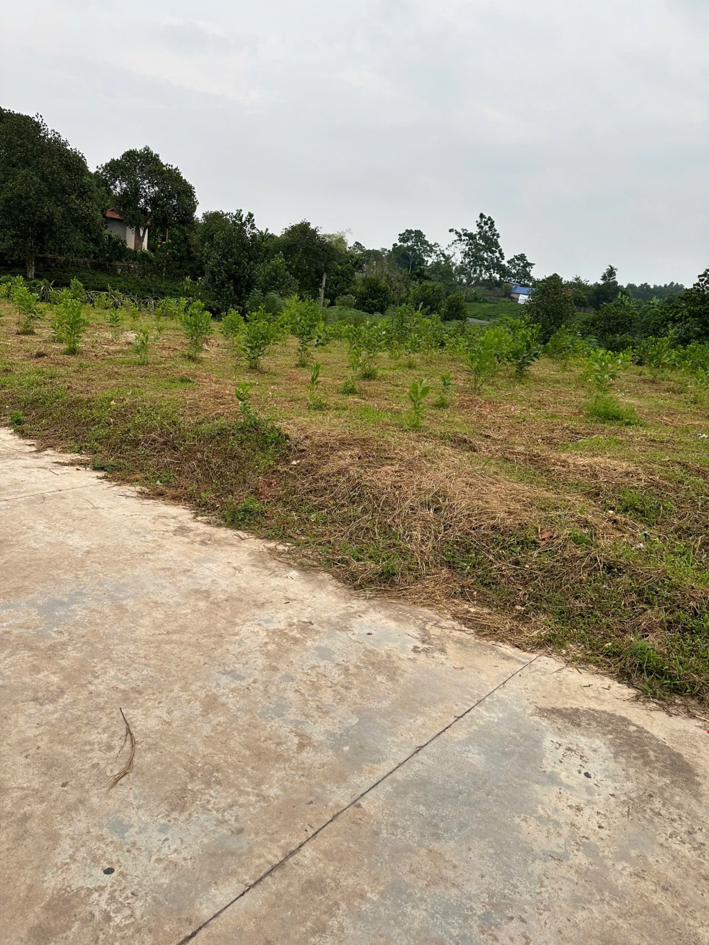 Đất nền Phúc Trìu, Thái Nguyên 240m² giá 880 triệu - Đầu tư sinh lời hấp dẫn!