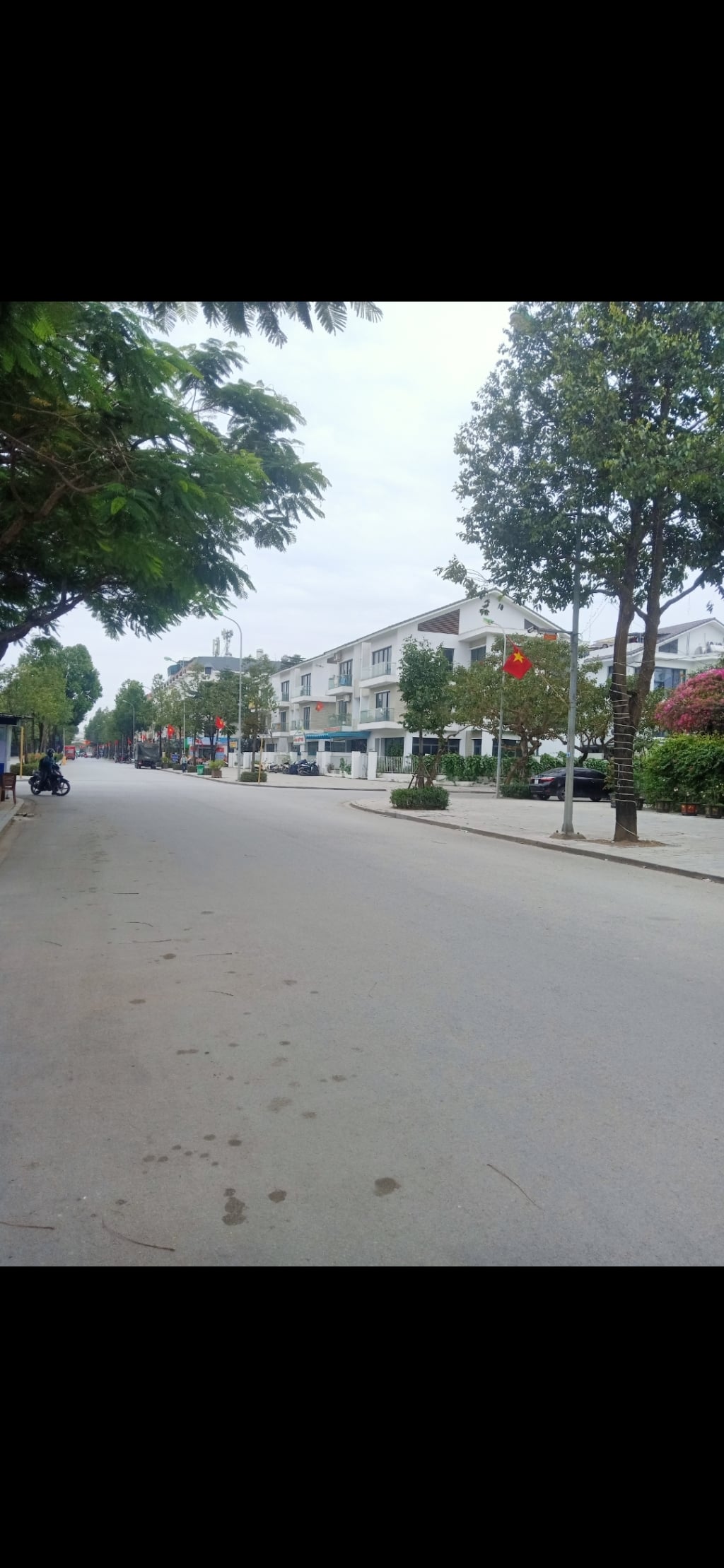 Biệt thự Dương Nội 203m² giá 43.39 tỷ - Vị trí đắc địa, kinh doanh tốt!