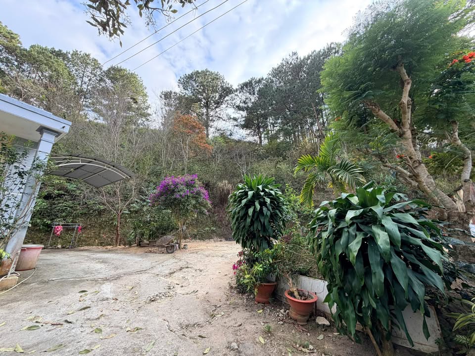 Đất Mặt Tiền Đường Lê Lai, Phường 5, Đà Lạt - Diện Tích 2119m², Giá 50 Tỷ