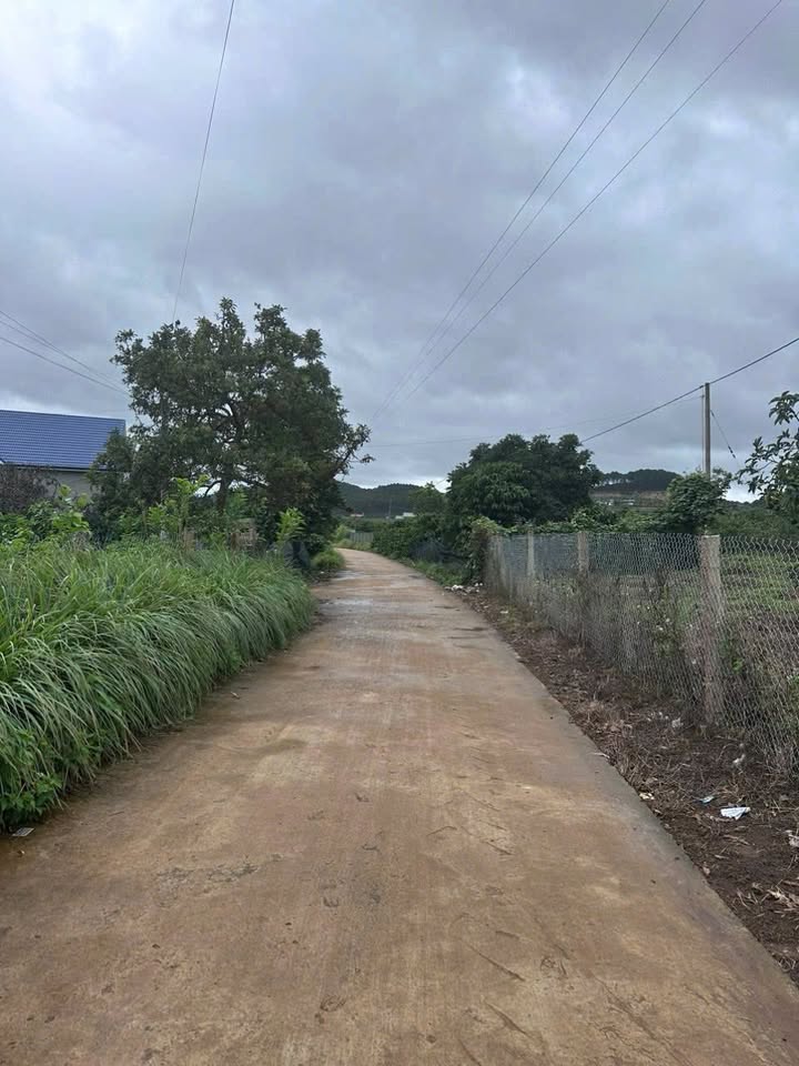 Đất nền Mê Linh, Lâm Hà 3500m² giá 5.x tỷ - View đồi thông tuyệt đẹp!