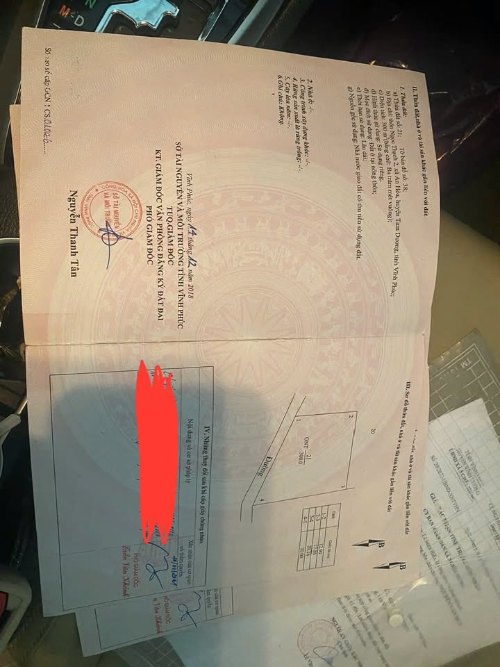 Đất nền xã An Hòa, huyện Tam Dương 5600m² - Giá chỉ 6 tỷ, cơ hội đầu tư tuyệt vời!