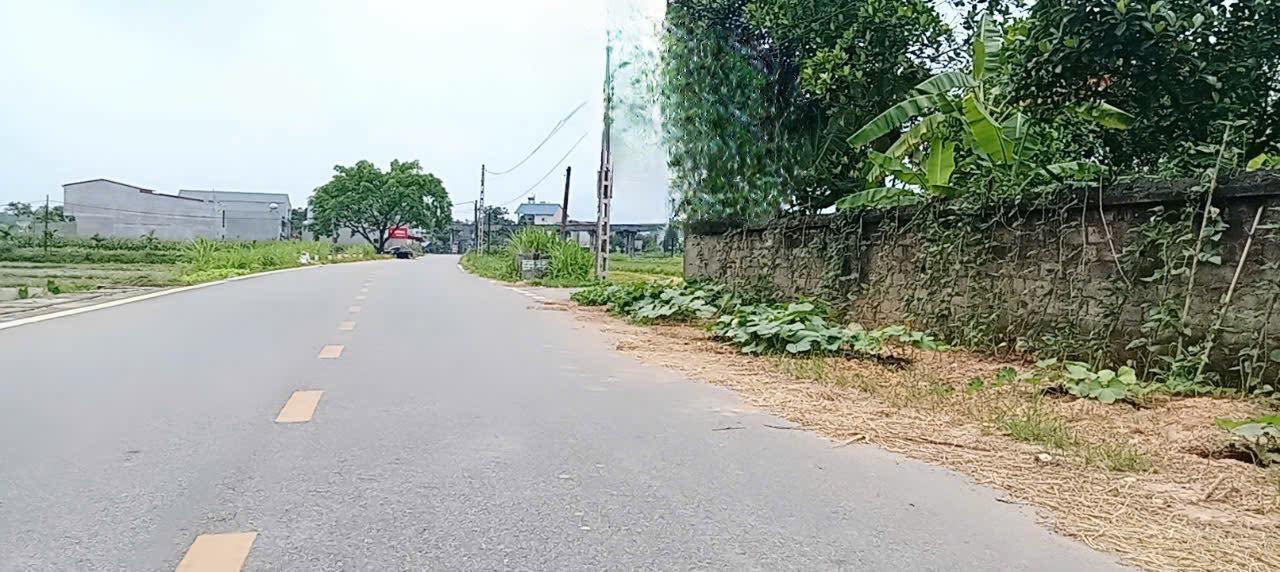 Đất nền đẹp tại xã Tân Lập, huyện Sông Lô, Vĩnh Phúc 100m² - Cần bán nhanh giá rẻ!