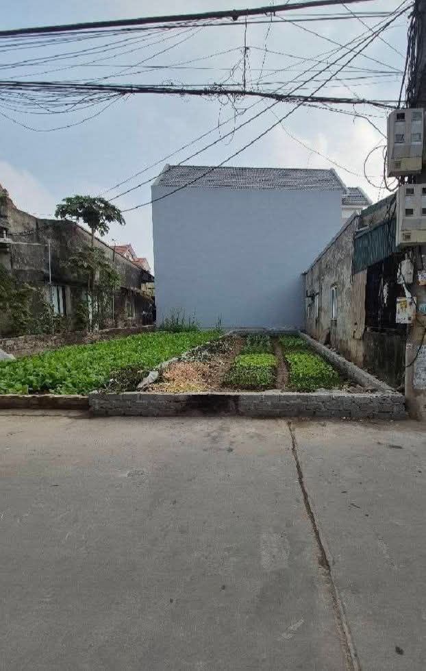 Đất thổ cư Thư Phú, Huyện Thường Tín 67m² giá 5 tỷ - Đường thông, giá hợp lý!