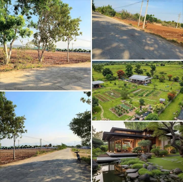 Đất nền Ninh Hải 5 hecta giá 10 tỷ - Mặt tiền hơn 200m, vị trí cực đẹp!