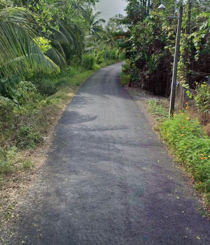 Đất nền thổ cư 140m² mặt tiền đường nhựa xã Tân Hạnh - Chính chủ bán gấp!