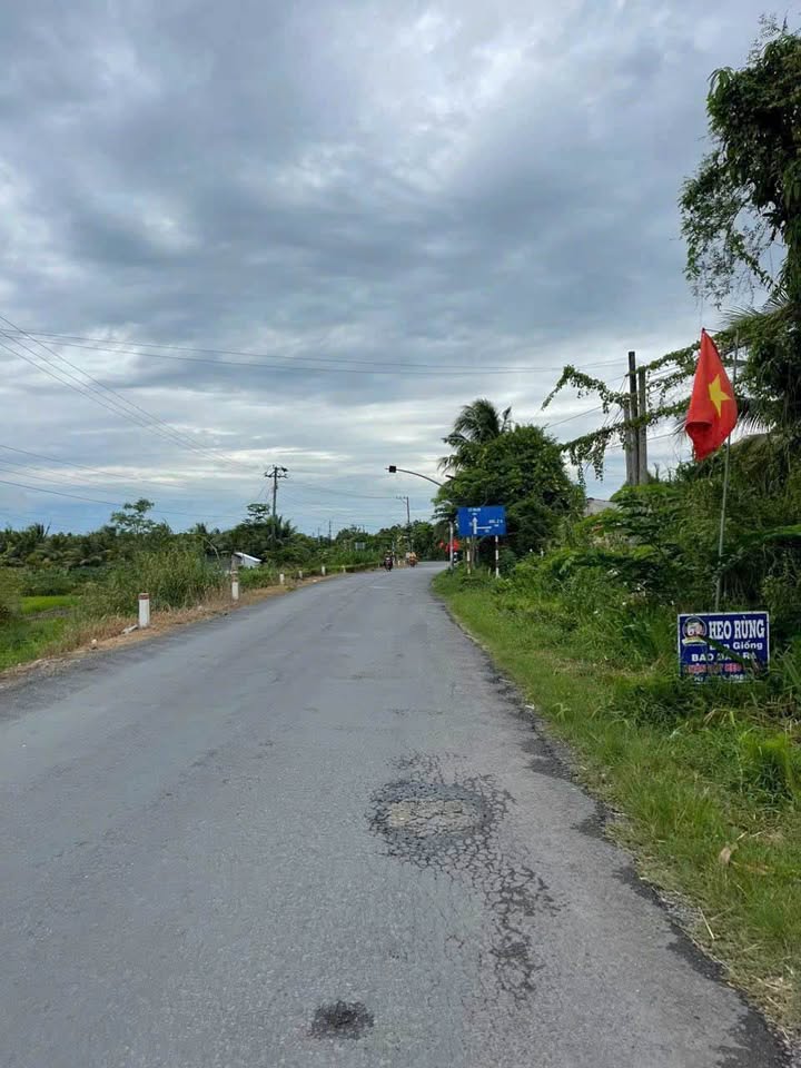 Đất vườn 500m² tại Xã Tân Lộc, Huyện Tam Bình - Cơ hội đầu tư hấp dẫn!