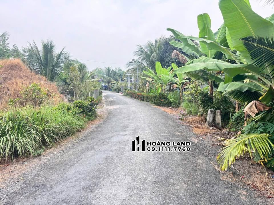 Đất nền Tân Phú, Tam Bình 128m² giá chỉ 390 triệu - Cơ hội đầu tư tuyệt vời!