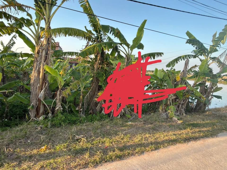 Đất nền Xóm 10, Xóm Bắc Sơn, Xóm Thương Phúc 105m² giá từ 750 triệu - Cơ hội đầu tư hấp dẫn!