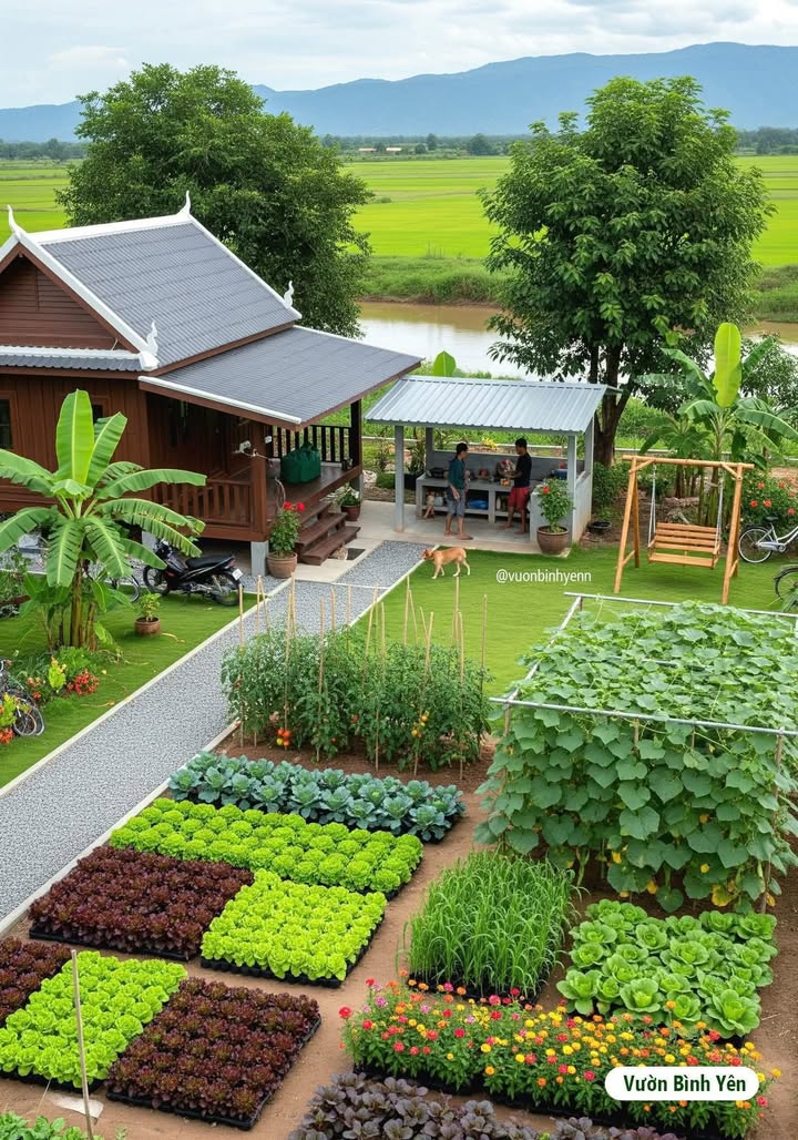 Đất trồng cây mặt tiền đường Trung Đông 8, Hóc Môn 1120m² giá 7 tỷ - Cơ hội đầu tư hấp dẫn!