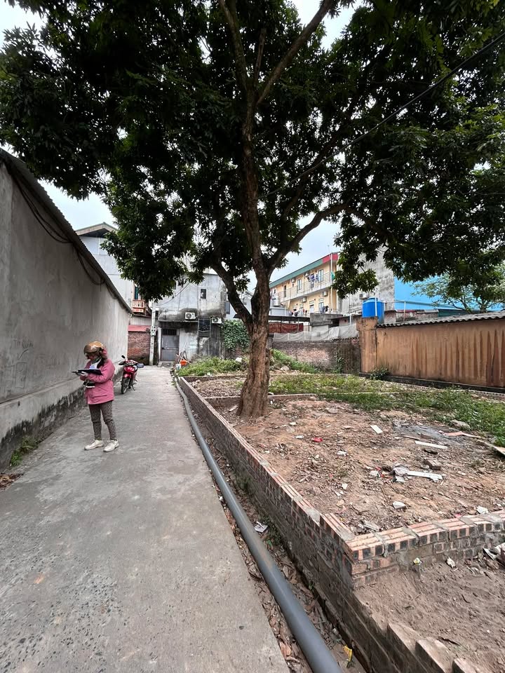 Đất nền Phường Song Liễu, Thuận Thành 70m² giá 2.3 tỷ - Cơ hội đầu tư tuyệt vời!