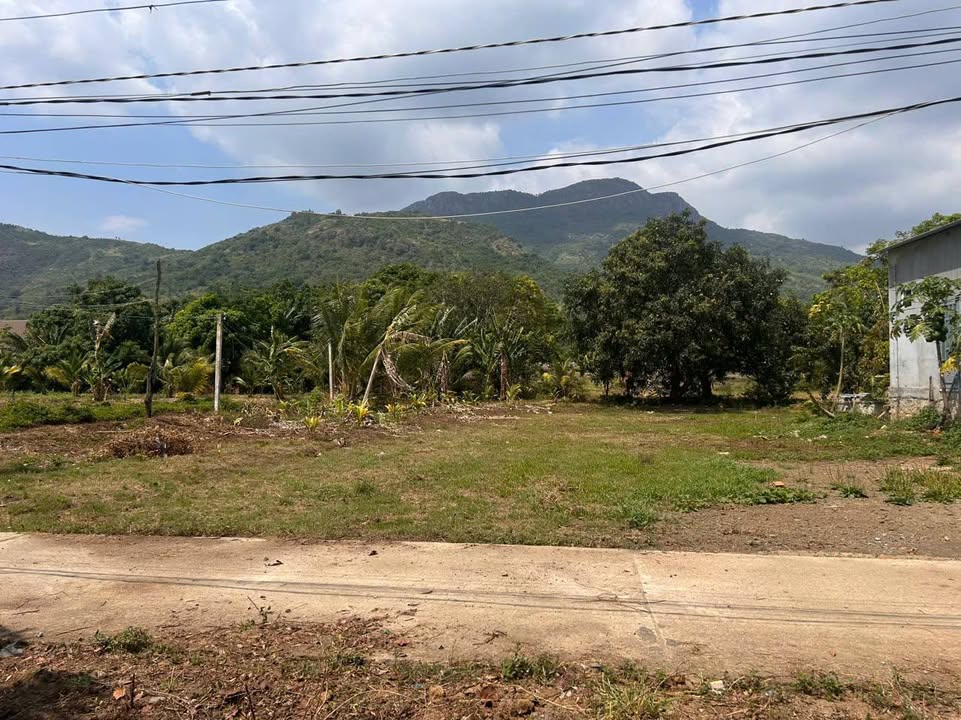 Đất thổ cư Cam Phước Đông 69m² giá 330 triệu - Đường nhựa ô tô vào tận nơi!