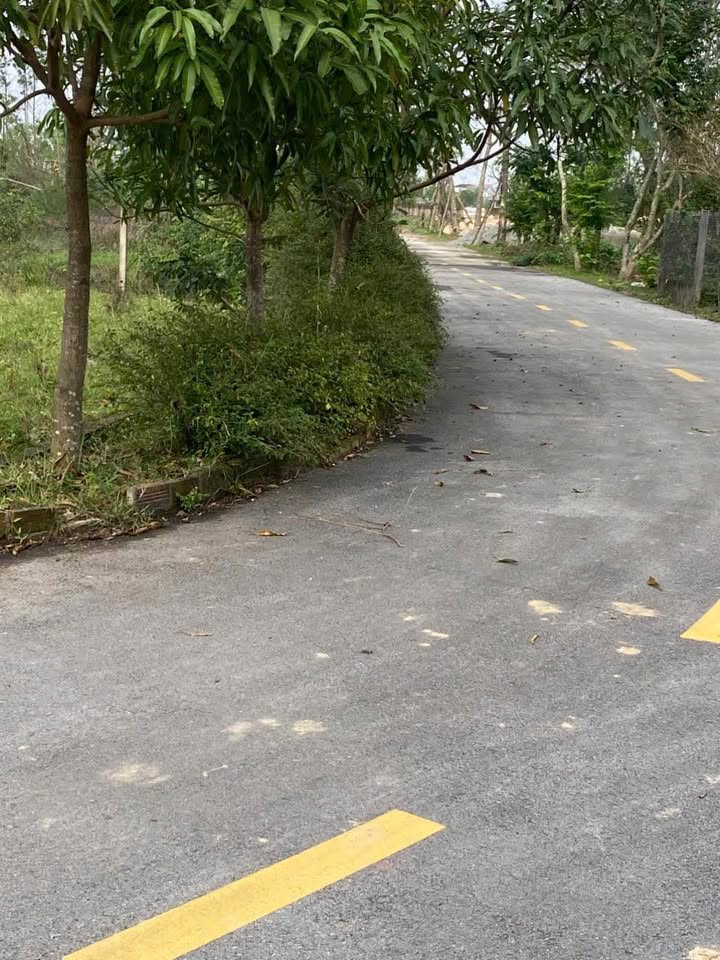 Đất thổ cư 185m² tại Thôn Bình Đông, Huyện Thạch Hà chỉ 1.4 tỷ - Đầu tư sinh lời ngay!