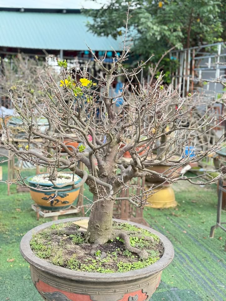 Đất nền tại Khối Phố An Thanh - Đà Nẵng 150m² giá 1 tỷ - Cơ hội đầu tư tuyệt vời!