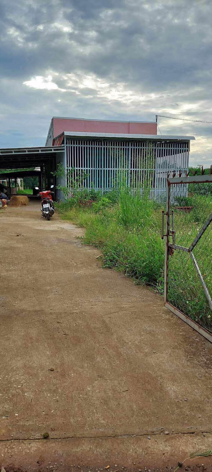 Farm 9,800m² tại xã Xuân Bắc, Đồng Nai - Sổ đỏ chính chủ chỉ 3.7 tỷ!