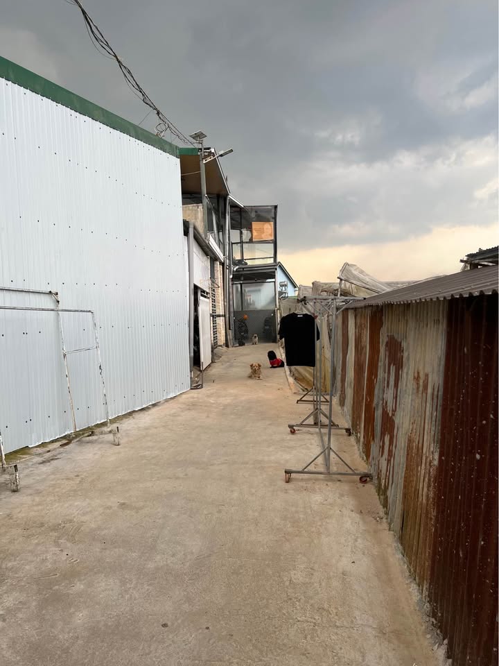 Nhà phố Nguyễn Tự Lực Đà Lạt 130m² giá 2.1 tỷ - Bán gấp trước Tết!