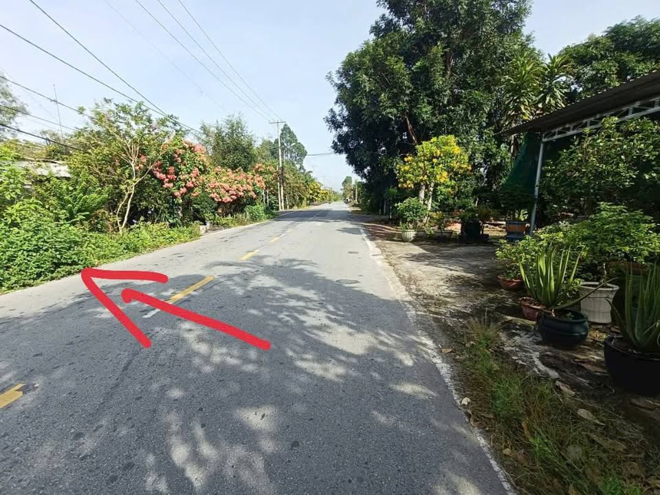 Đất nền An Nhơn Tây Củ Chi 337m² giá chỉ 2 tỷ - Bán gấp, pháp lý rõ ràng!