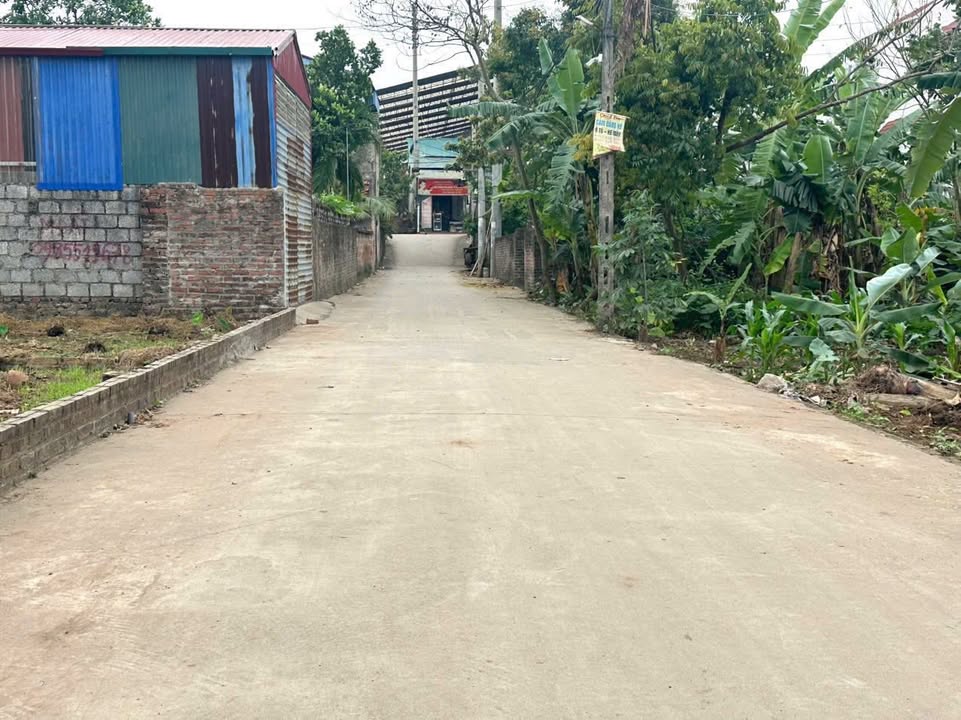 Đất ở Ninh Tập 78,2m² giá 2 tỷ - Lô góc 2 mặt thoáng, tiềm năng phát triển!