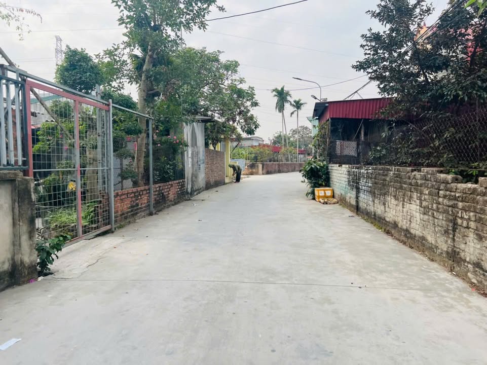 Đất Kiến Phong, Đồng Thái, An Dương 65m² giá 1.4 tỷ - Cơ hội đầu tư hiếm có!