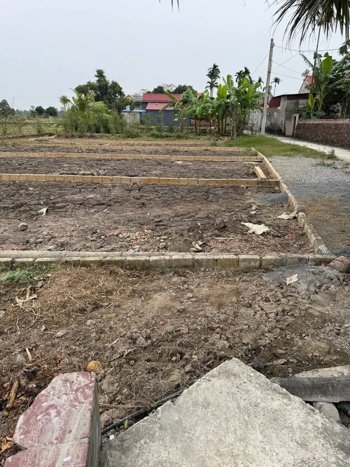 Đất nền KCN Vinh Quang - Thanh Lương 82m² giá 800 triệu - Cơ hội đầu tư sinh lời!