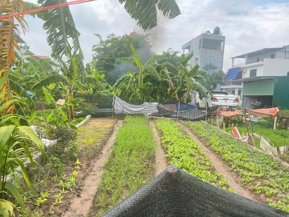 Đất Thư Phú Thường Tín 40m² giá 3 tỷ - Đầu tư sinh lời ngay!