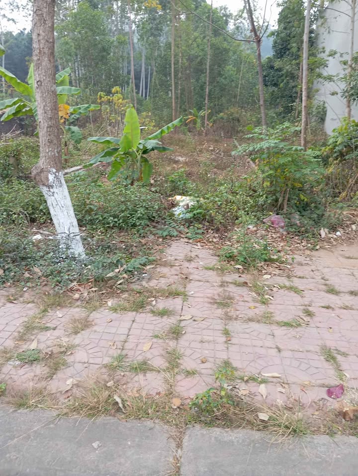 Đất nền Phường Xuân Hòa, TP Phúc Yên 146,3m² giá 2 tỷ - Cơ hội đầu tư hấp dẫn!