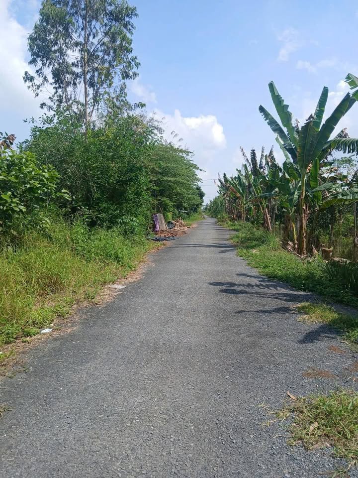 Đất nền 331m² tại Kinh Thạnh Đông, Cái Răng - Giá chỉ 1.7 tỷ, thương lượng!