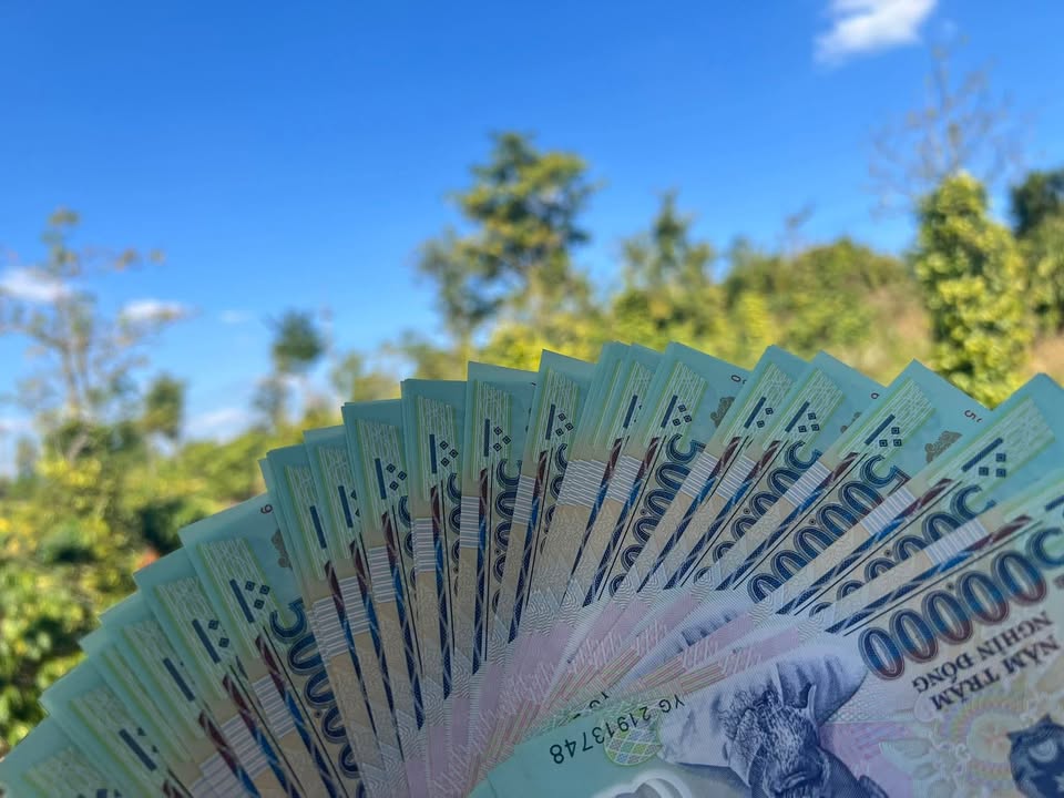 Đất mặt tiền đường Ngô Quyền, Thị trấn Đắk Mil 143m² giá 960 triệu - Cơ hội kinh doanh tuyệt vời!