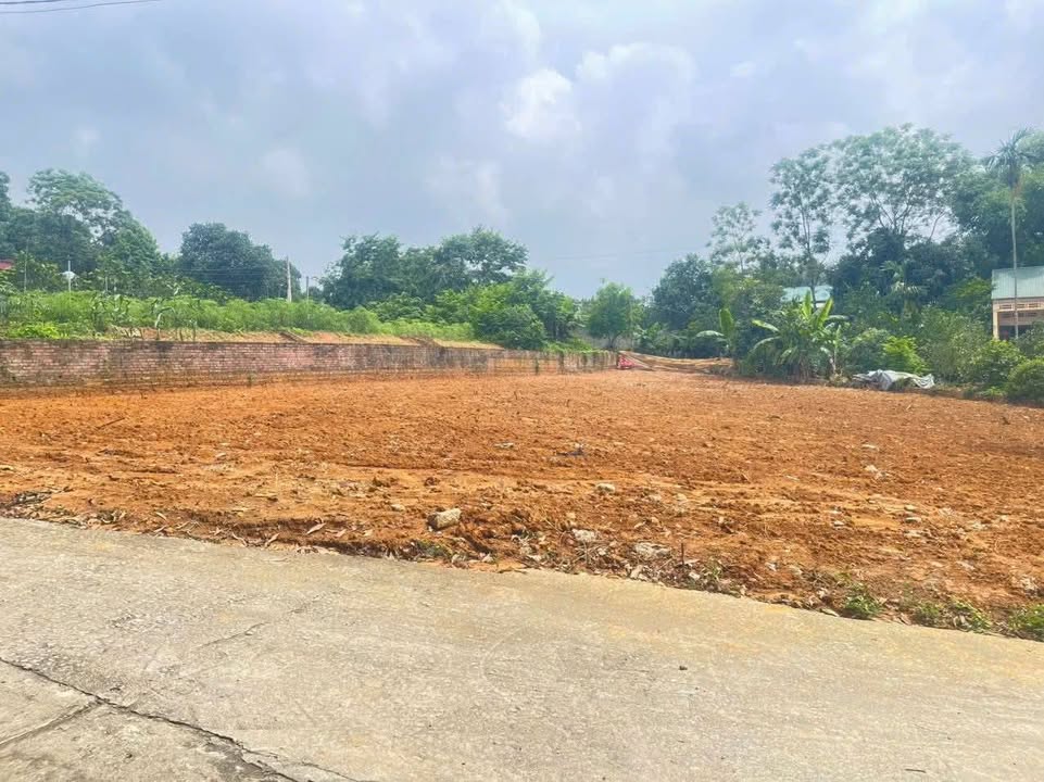 Đất nền khu 9, xã Phú Lộc, huyện Phù Ninh 277m² giá 500 triệu - Cơ hội đầu tư hấp dẫn!