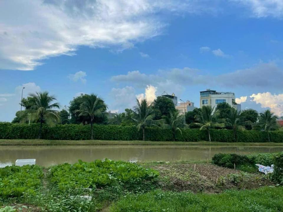 Nhà phố Đơn lập Nguyệt Quế 02, Quận Ba Đình 345m² - Full nội thất sang trọng!