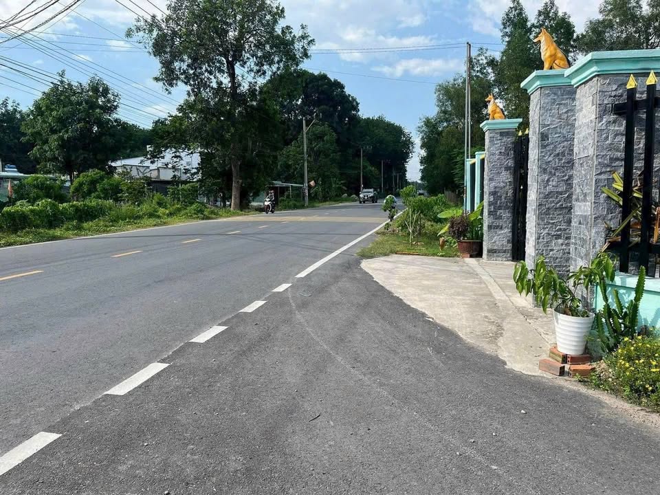 Đất mặt tiền ĐH 423 Tân Hiệp, 250m² giá 4 tỷ - Đầu tư sinh lời ngay!