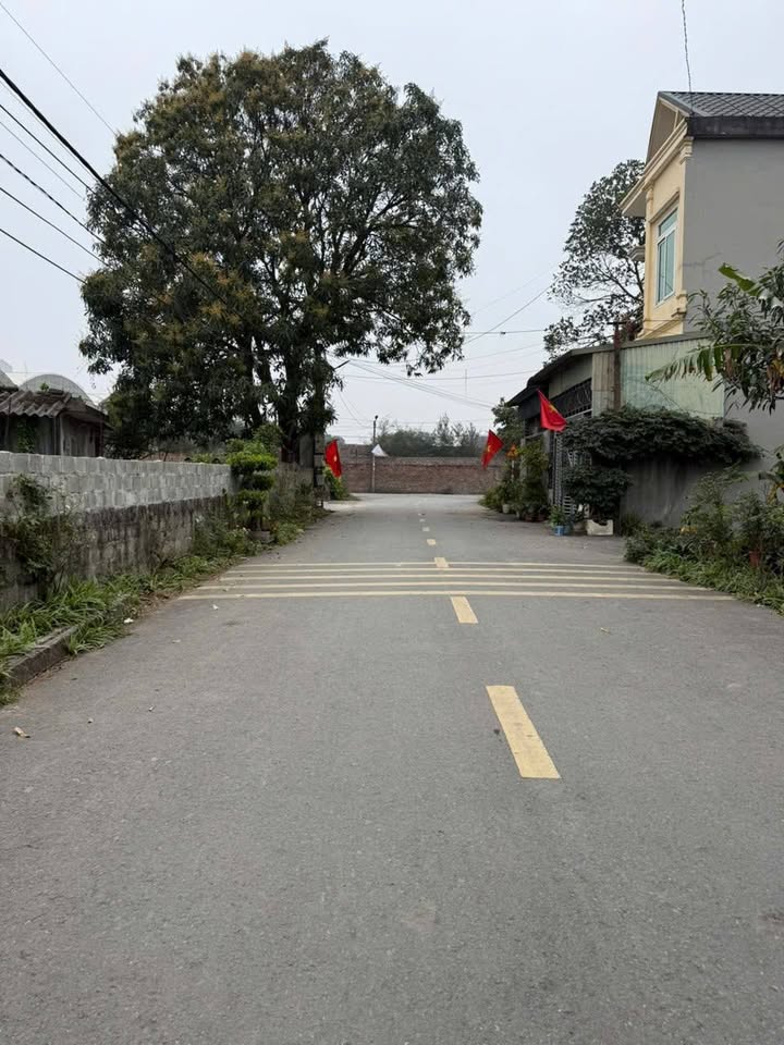 Đất nền Nho Quan 1042m² giá 4 tỷ - Vị trí tuyệt vời cho nhà xưởng và kho bãi!