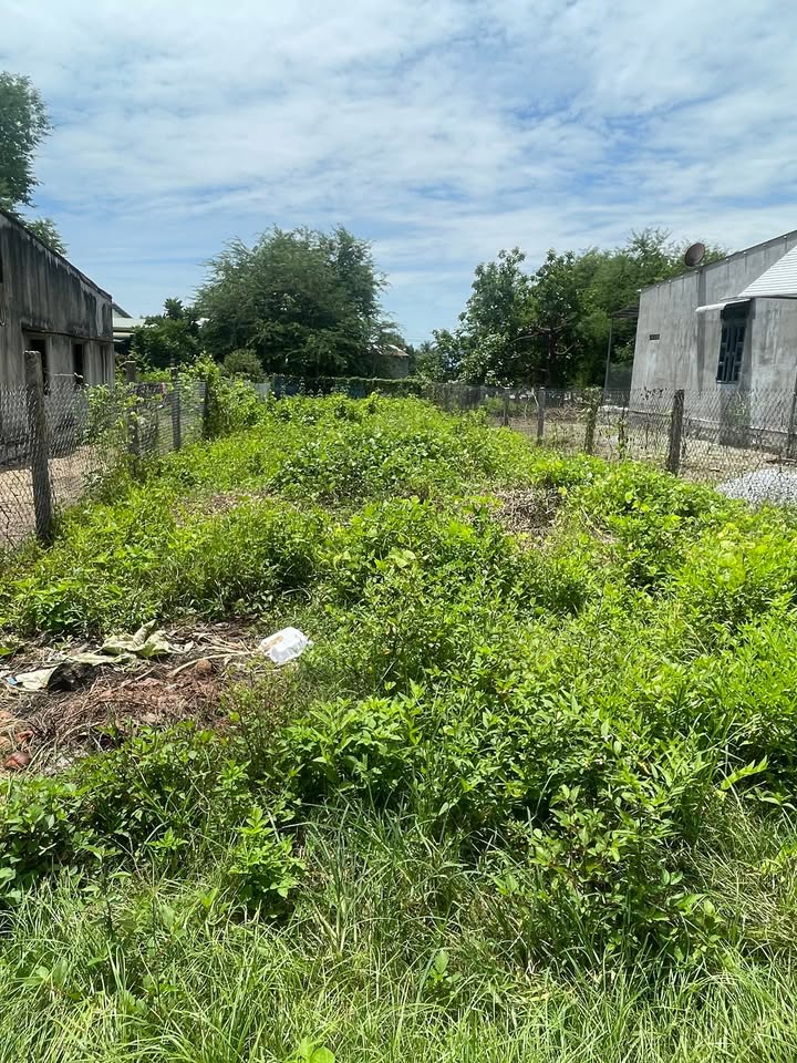 Đất thổ cư tại khu phố 6, Xã Sơn Mỹ, Huyện Hàm Tân 210m² giá 26.25 tỷ - Cơ hội đầu tư hấp dẫn!