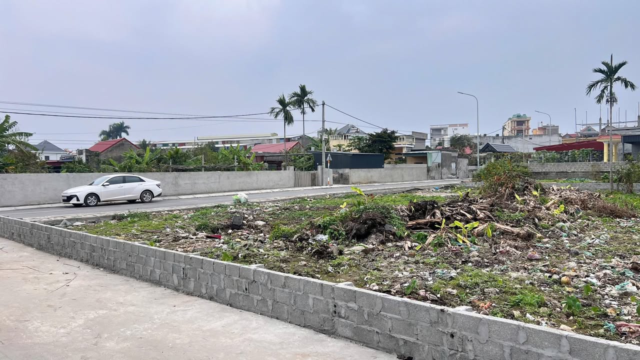 Đất nền Tân Nam, Mỹ Đức 63m² giá chỉ 700 triệu - Cơ hội đầu tư hấp dẫn!