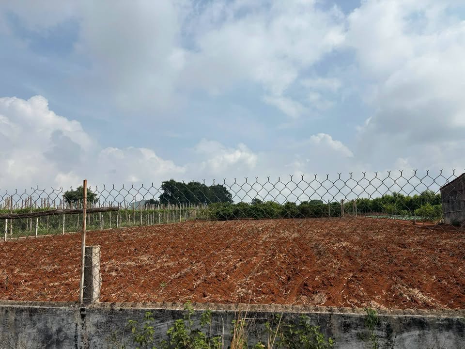 Đất nền 1000m² tại hẻm 63 Ngô Sỹ Liên, pleiku - Giá thỏa thuận hấp dẫn!