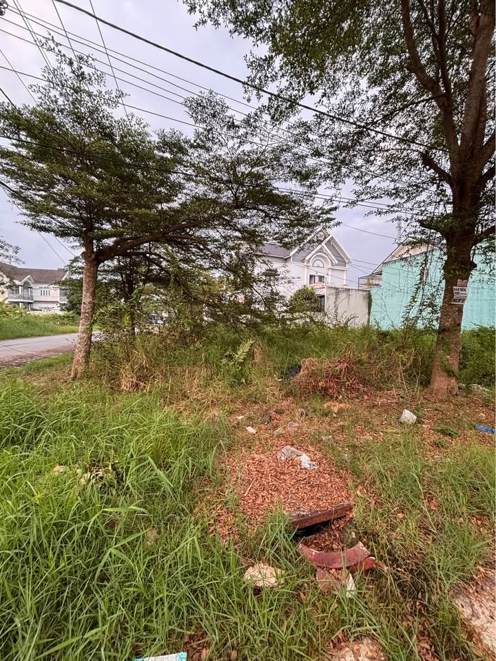 Đất nền góc Bạch Đằng, Cà Mau 267m² chỉ 2.002 tỷ - Đầu tư sinh lời ngay!