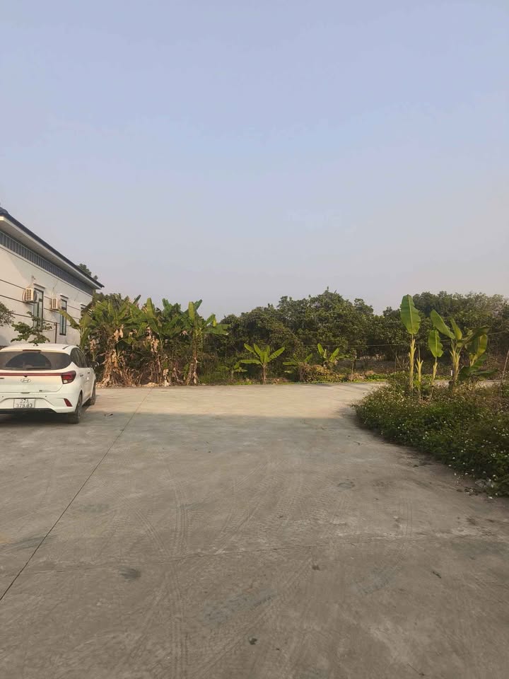 Đất thổ cư Thái Long Tân Mỹ 1000m² giá 7-8 tỷ - Đầu tư sinh lời hấp dẫn!