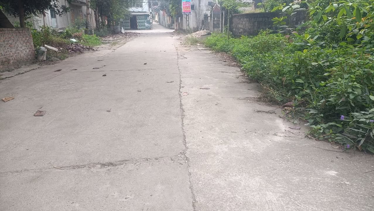 Đất nền TDP Nông Tiến 5, Tuyên Quang 182m² - Hướng tốt, pháp lý rõ ràng!