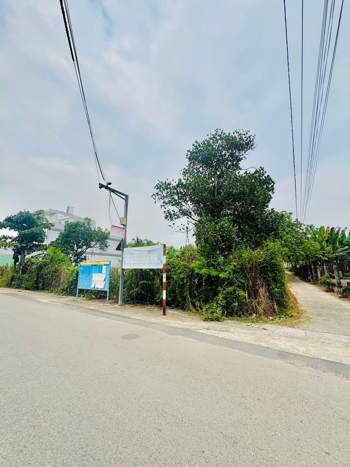 Đất nền Ấp 6 An Phước 110m² giá 1.8 tỷ - Cơ hội đầu tư tuyệt vời!