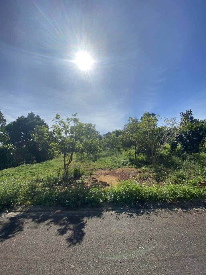 Đất thổ cư 125m² hẻm Nguyễn Văn Cừ, Bảo Lộc - Giá chỉ 1.15 tỷ!