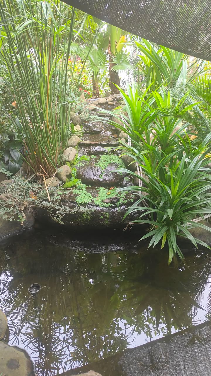 Nhà 1 tầng 1 tum tại Phường An Tường, Tuyên Quang 105m² giá 3 tỷ - Đẹp như Nhà Vườn!