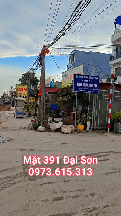 Đất nền đẹp tại Đại Sơn, Tứ Kỳ 103m² chỉ 4 tỷ - Đầu tư sinh lời ngay!