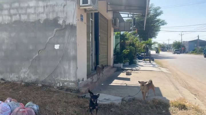 Đất thổ cư Phường Ninh Chử 115m² giá 2.98 tỷ - Sổ riêng, tiện lợi vay ngân hàng!