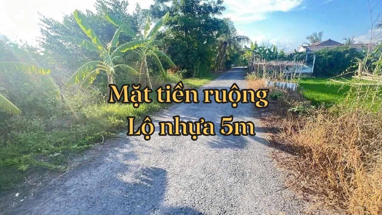 Đất nông nghiệp 7750m² tại Kinh 26/3, Mỹ Thuận, Vĩnh Long - Giá chỉ 38 tỷ!