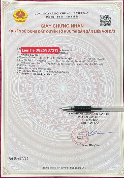 Đất thổ cư khu Thống Nhất, Thị trấn Cẩm Khê 150m² chỉ 9xx triệu - Nhanh tay sở hữu!