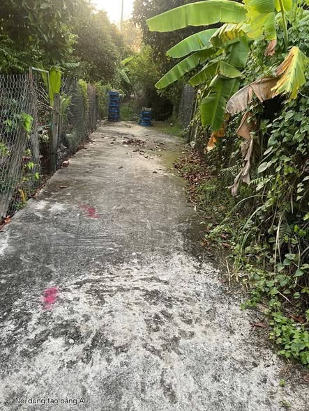 Đất thổ cư An Sơn 287m² giá 2.9 tỷ - Tiềm năng đầu tư lớn!