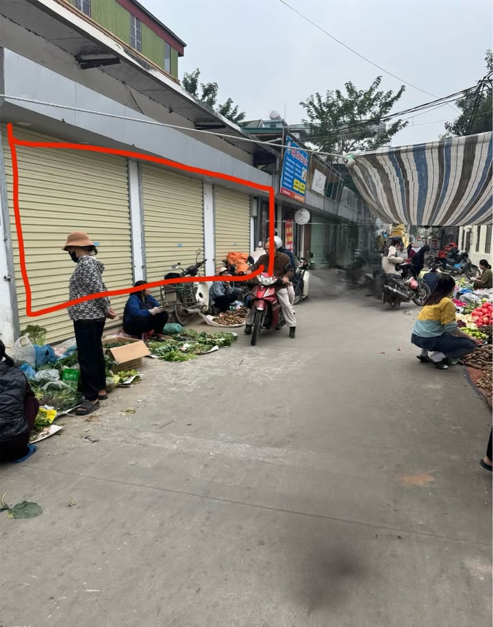 Shophouse cho thuê tại Chi Đông, Mê Linh 60m² giá 7 tỷ - Đầu tư sinh lời ngay!