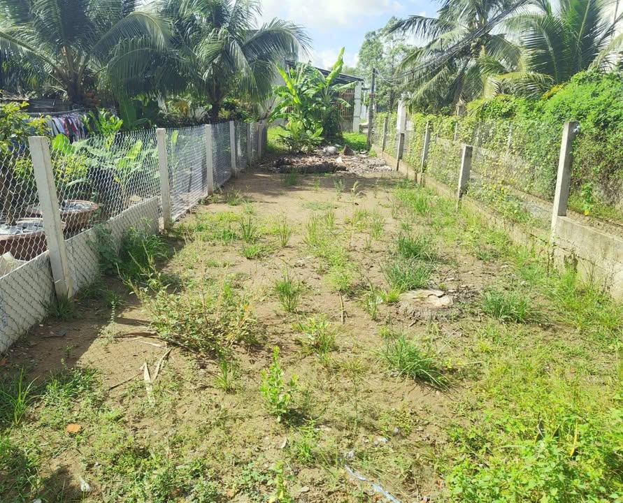 Đất nền mặt tiền lộ Thống Nhất, Bến Tre 113m² giá 1.28 tỷ - Sổ đỏ quy hoạch đất ở