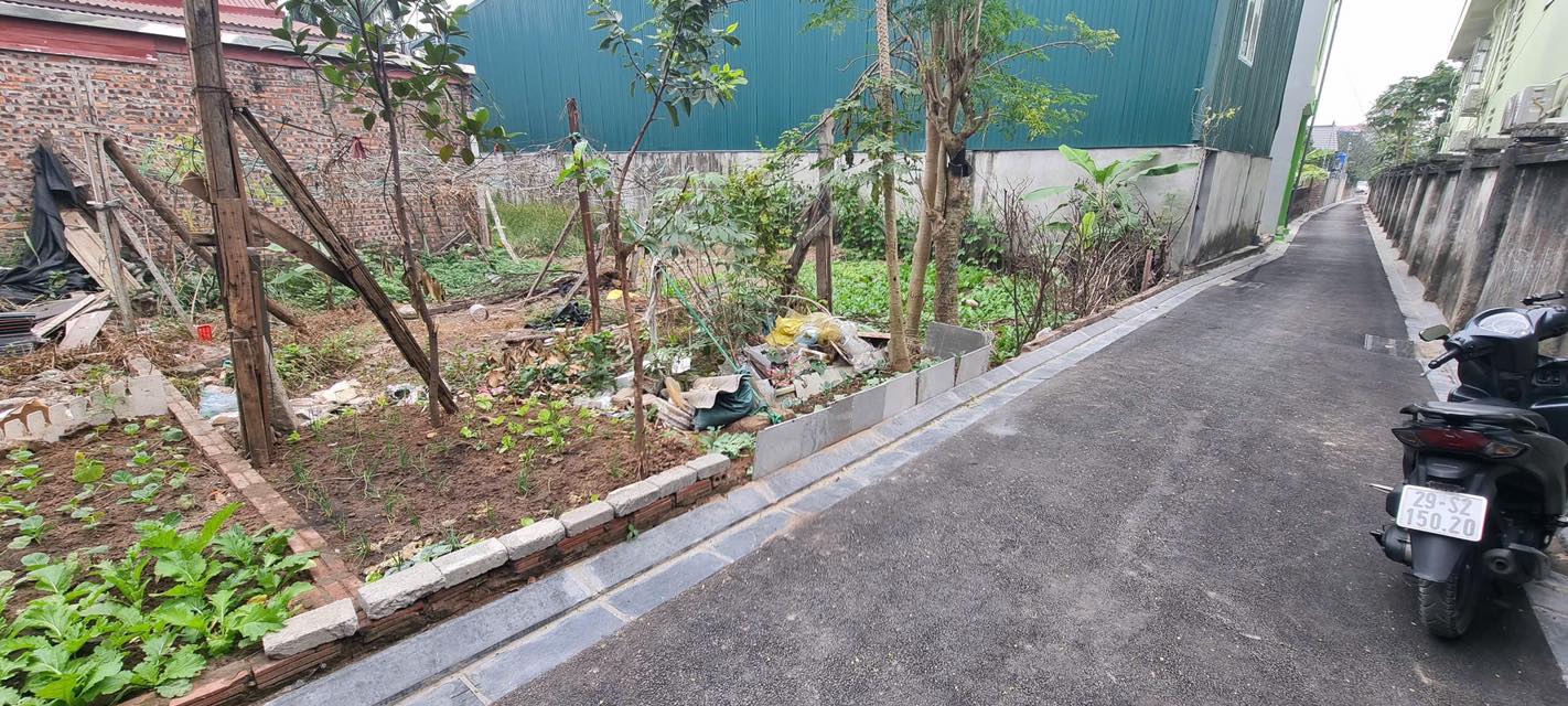 Đất nền Xóm Nhì, Vân Nội 40m² giá 3.x tỷ - Đường ô tô vào tận nơi!